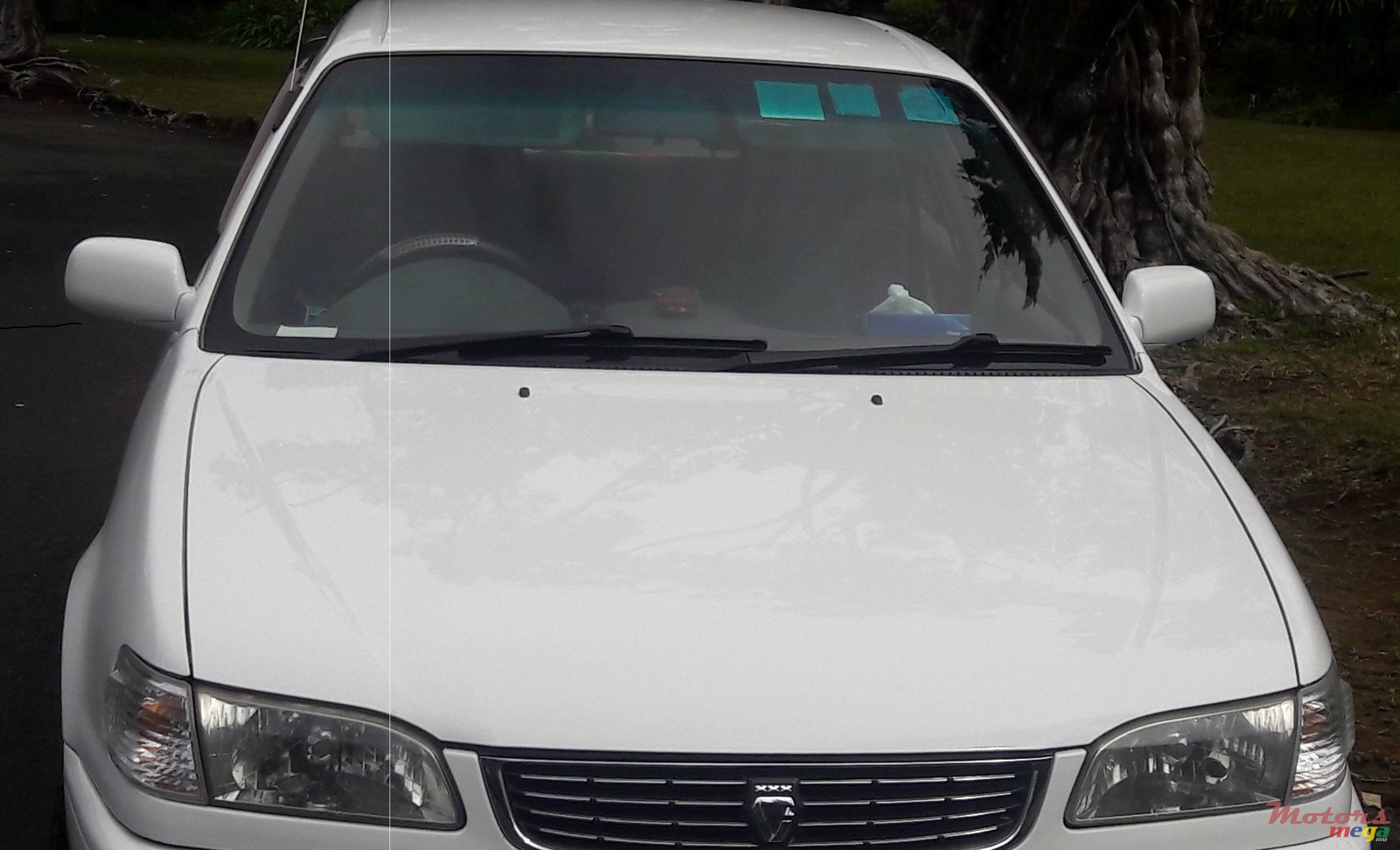 1998' Toyota Corolla photo #1