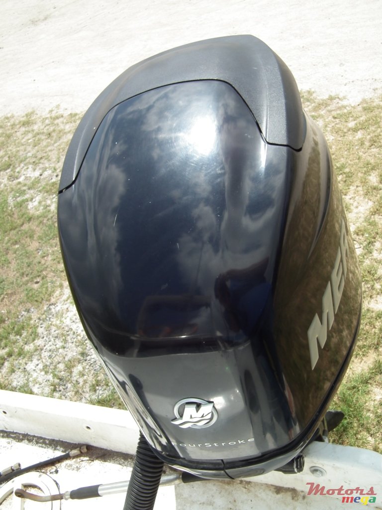 2011' Mercury photo #3