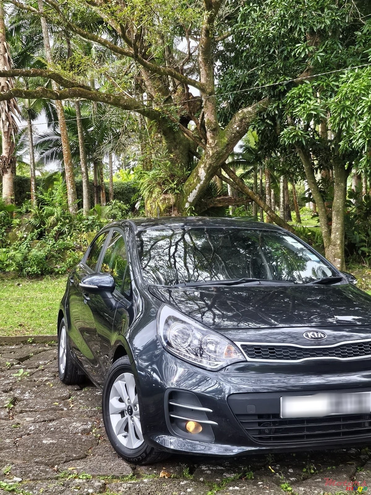 2016' Kia Rio photo #1