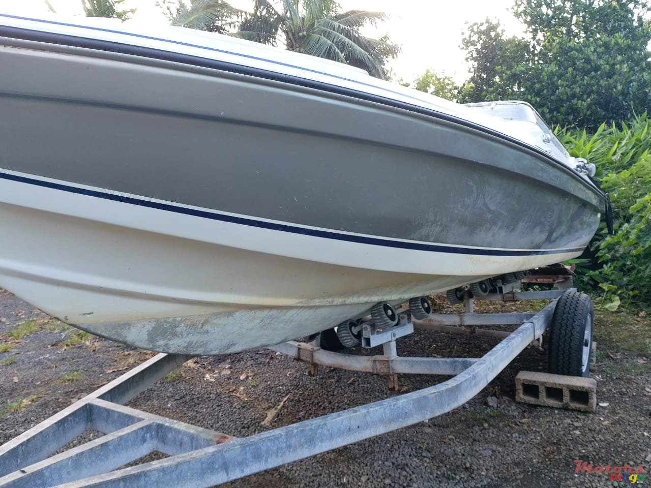 2008' Evinrude photo #3