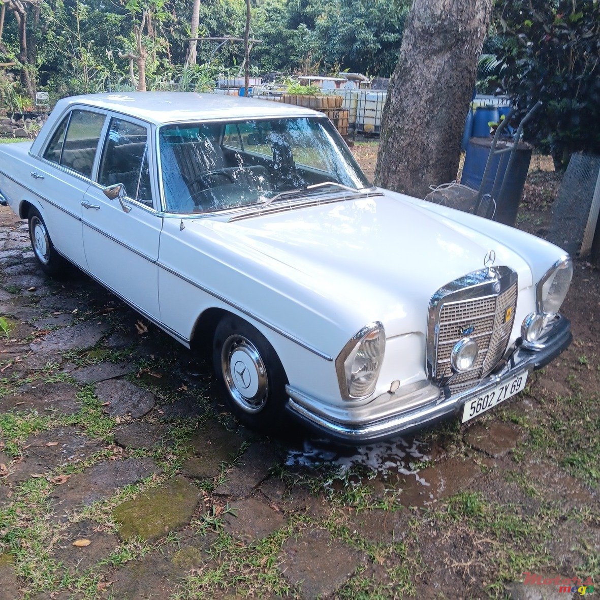 1970' Mercedes-Benz S 280 photo #2