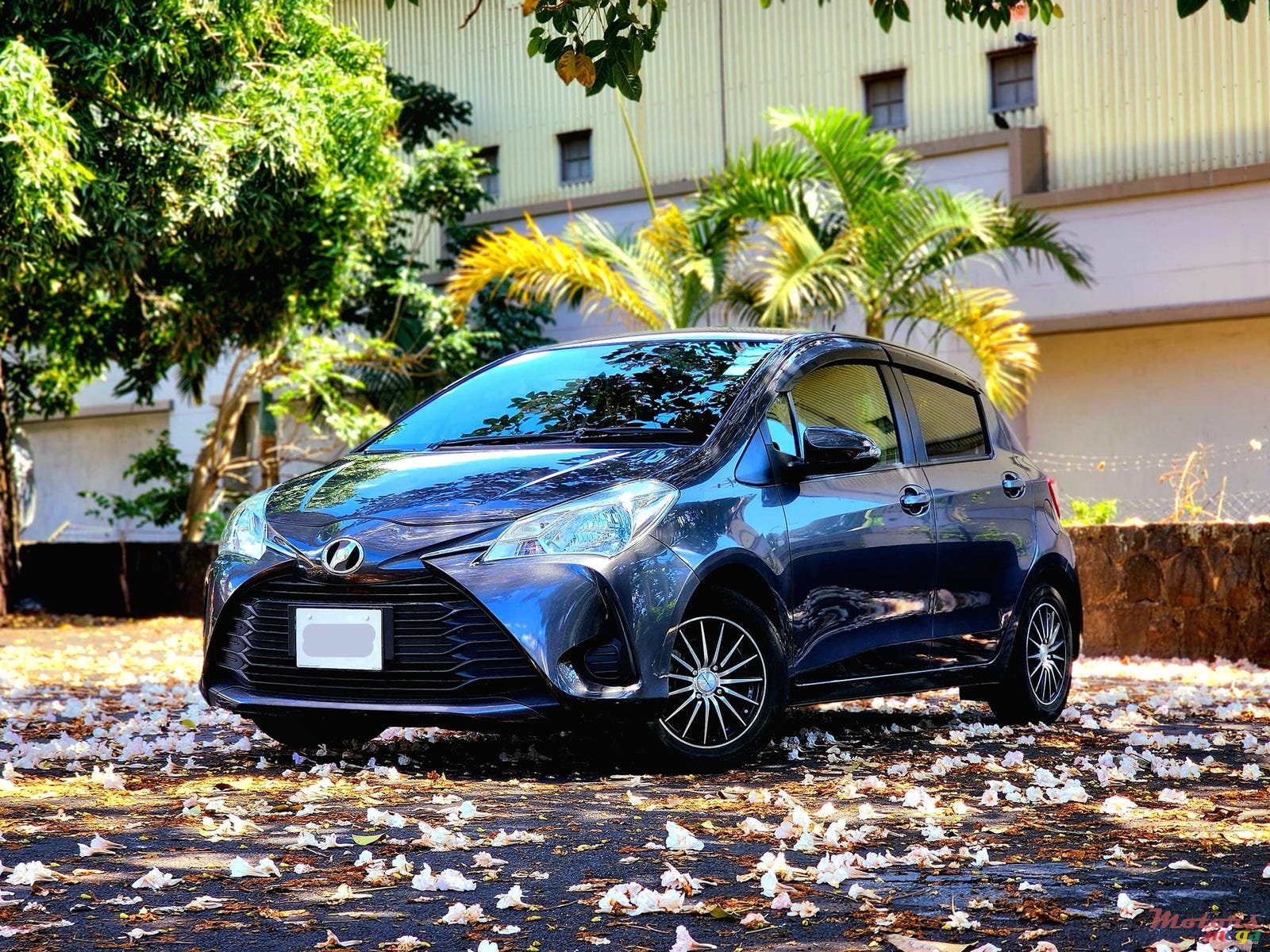 2017' Toyota Vitz photo #2