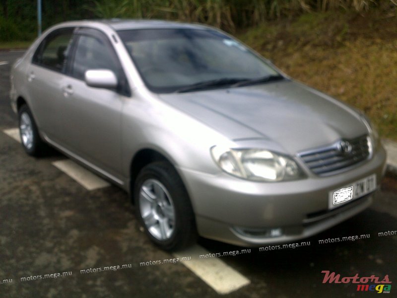 2001' Toyota Corolla NZE photo #1