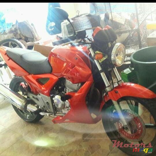 2009' Honda photo #1