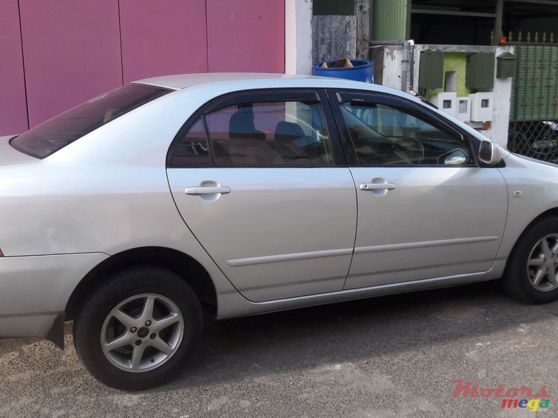 2004' Toyota Corolla photo #1