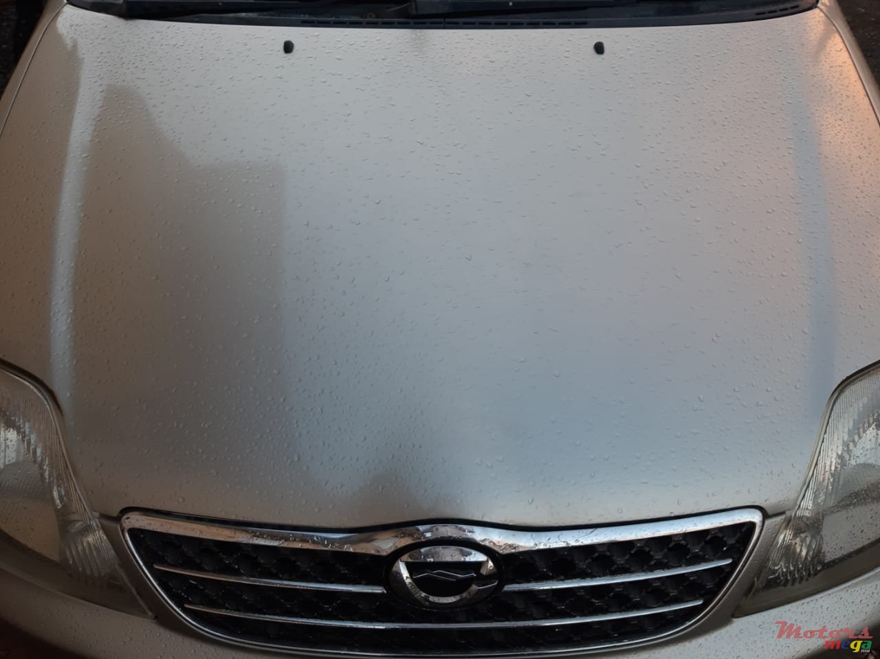 2001' Toyota Corolla photo #2