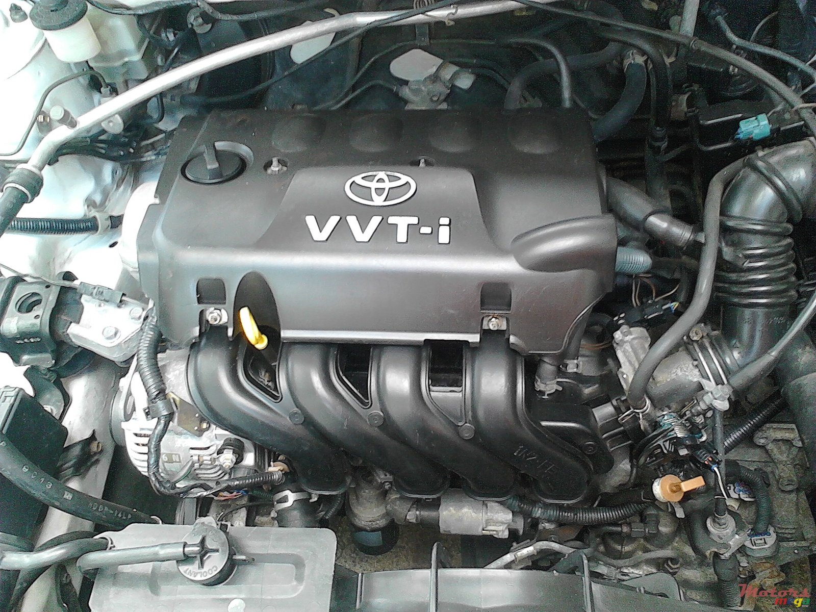 1999' Toyota Corolla photo #3