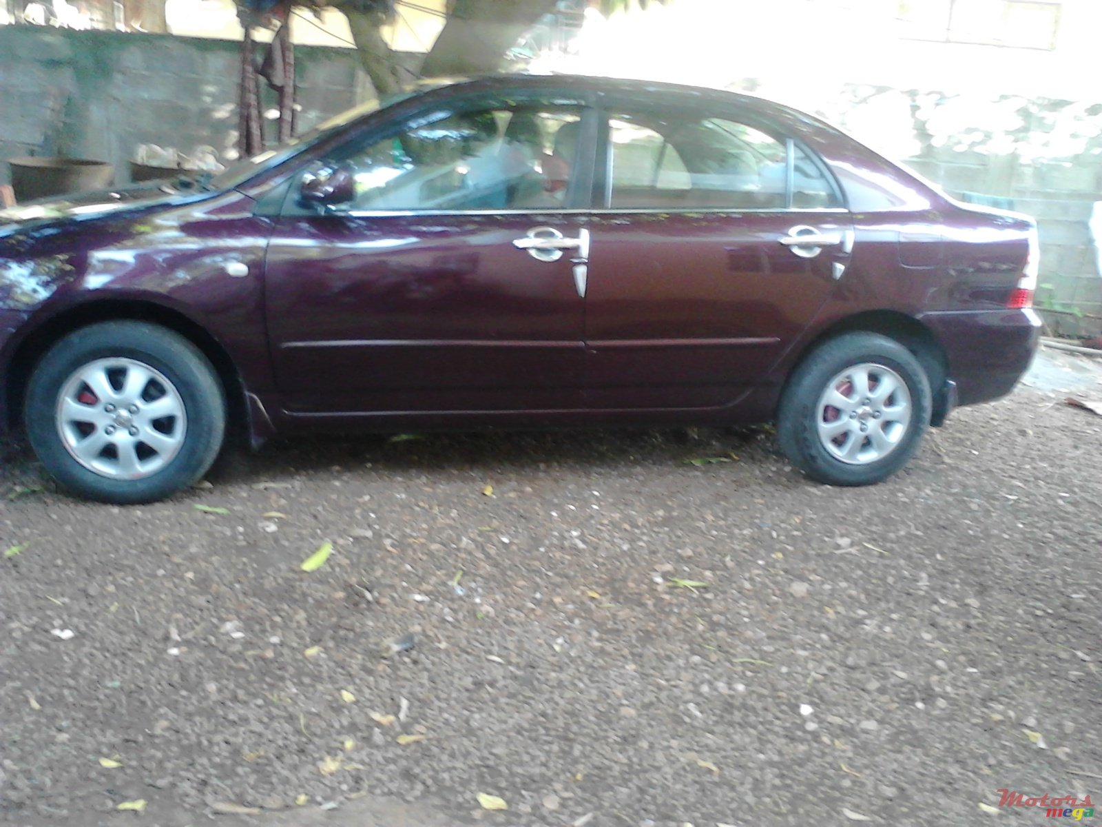 2003' Toyota Corolla 0 photo #5