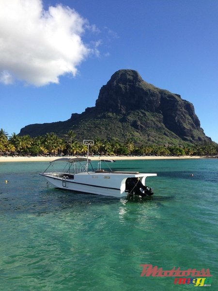 2014' Boston Whaler photo #1