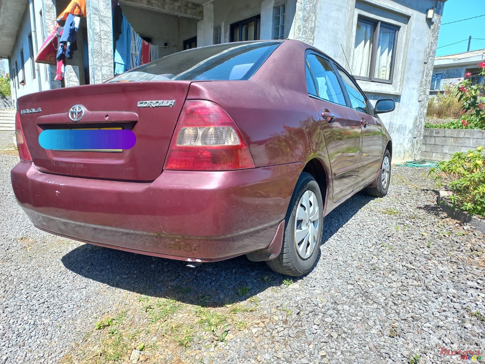 2003' Toyota Corolla photo #3