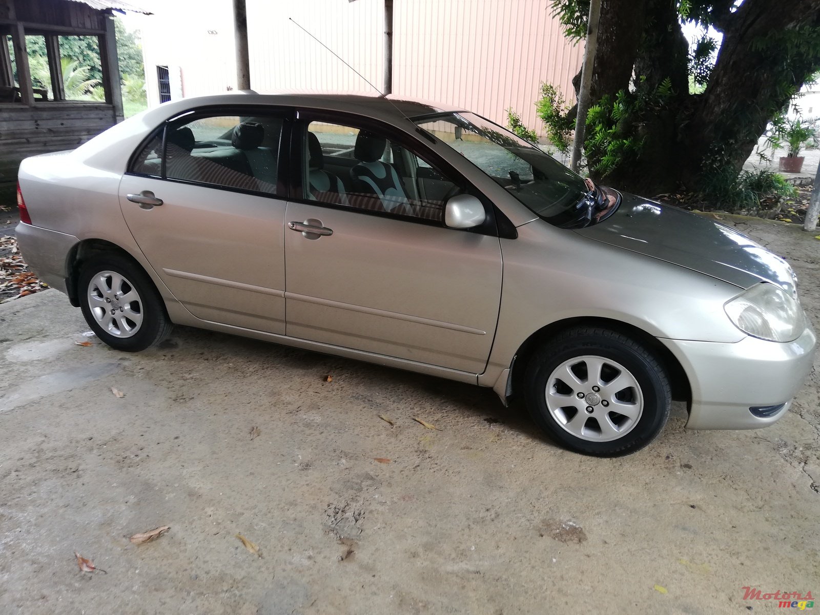 2002' Toyota Corolla NZE photo #3