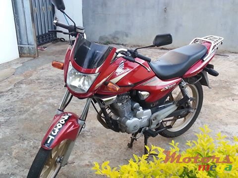 2008' Honda photo #1