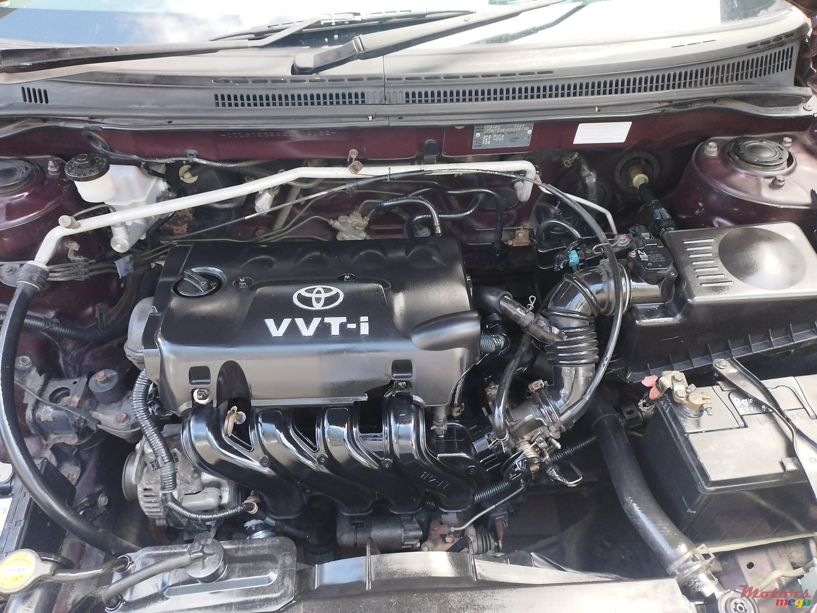 2003' Toyota Corolla photo #5