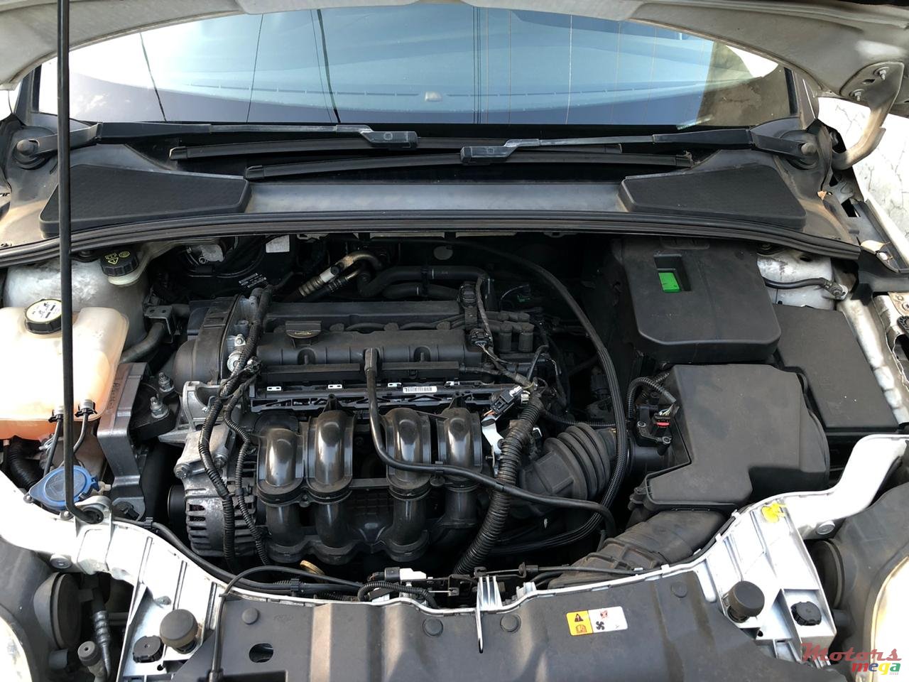 2013' Ford Focus photo #2