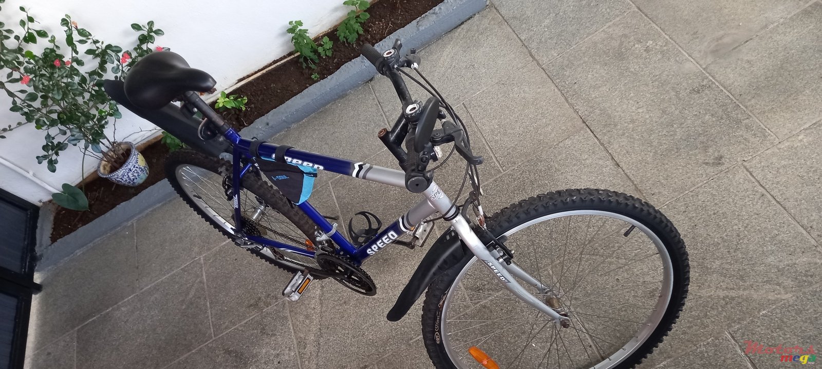 2021' Speed Gear photo #3