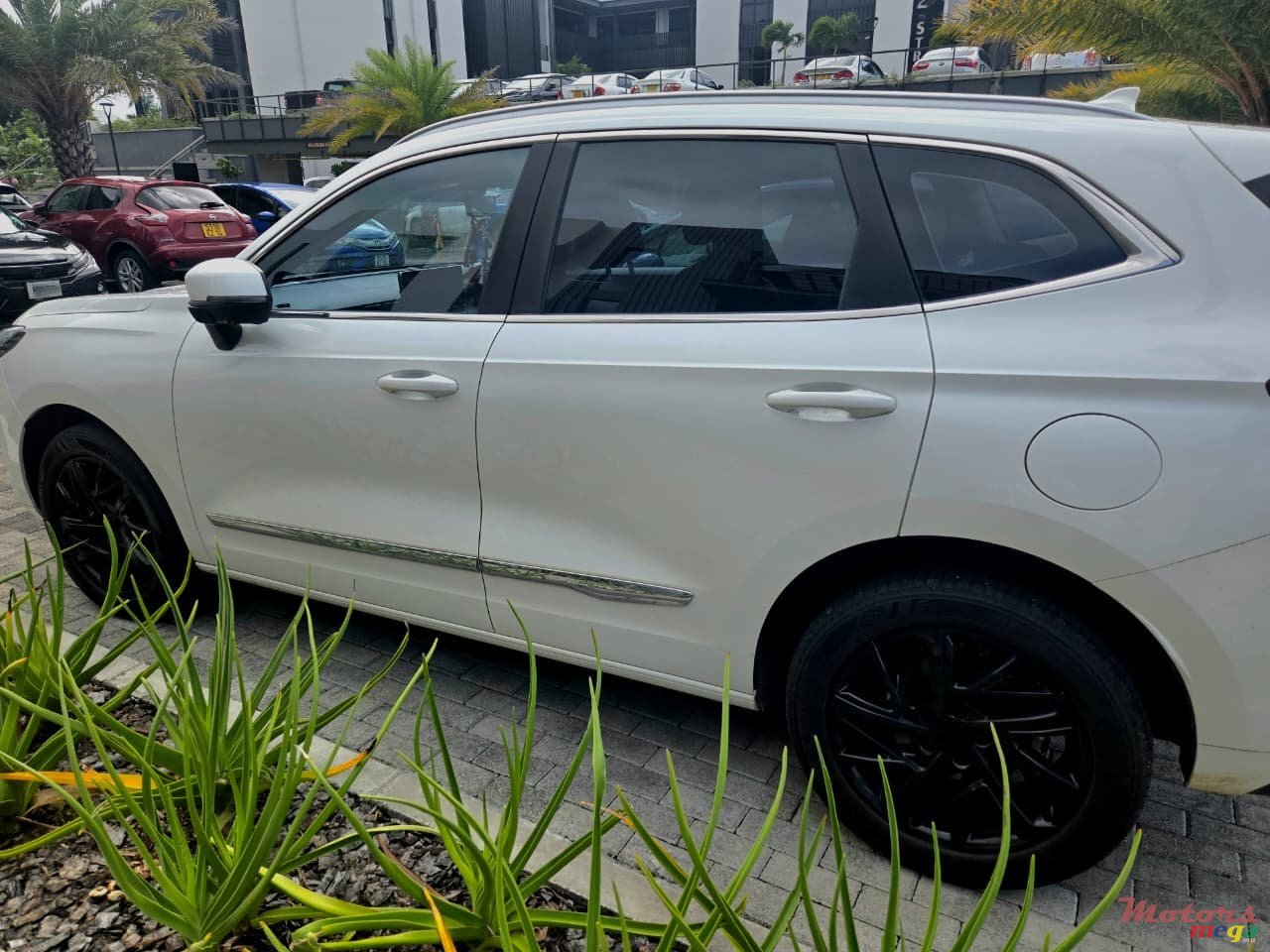 2023' Haval Jolion photo #3