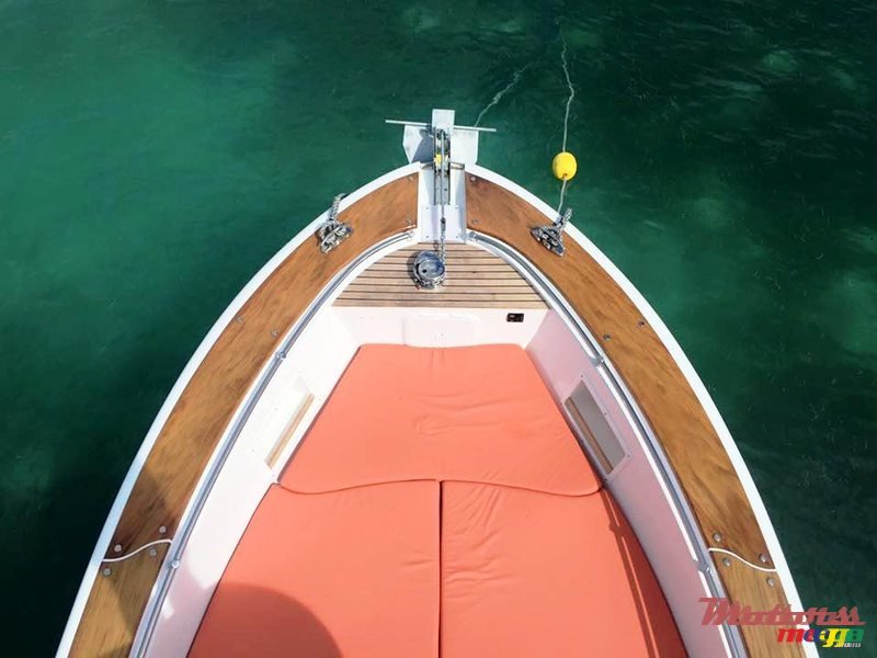 2016' Tema marine photo #2