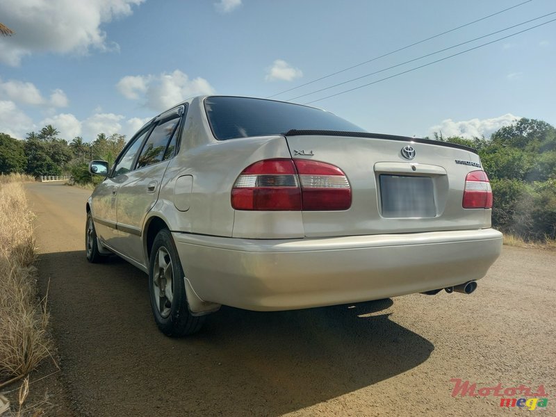 1999' Toyota Corolla EXCELLENT photo #2