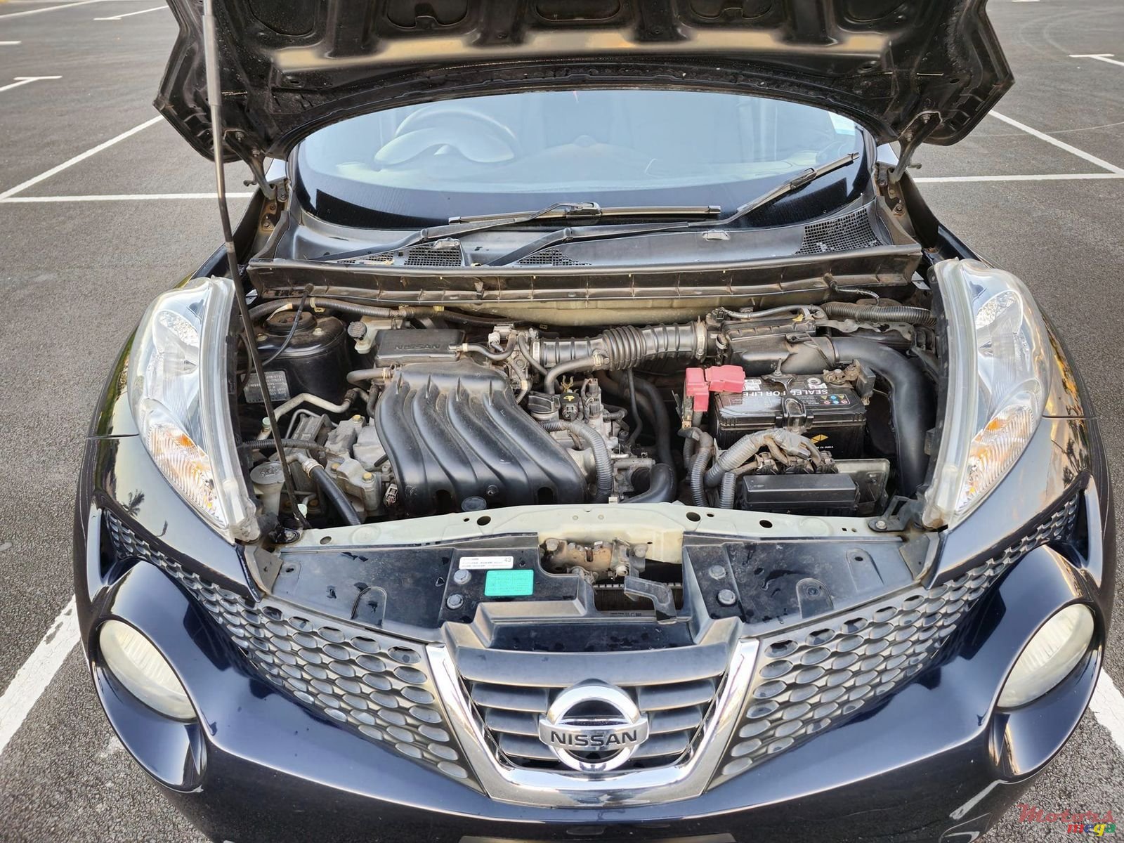 2012' Nissan Juke photo #6