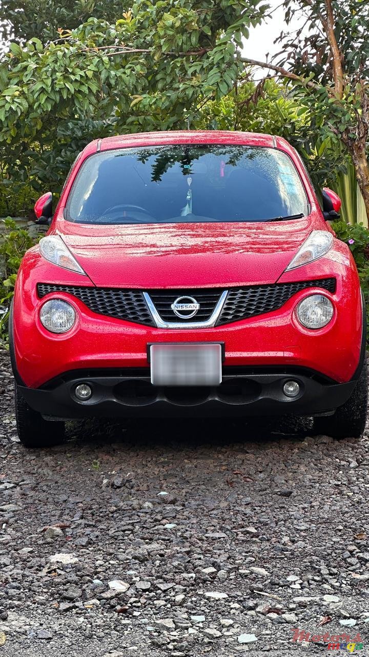 2013' Nissan Juke photo #1