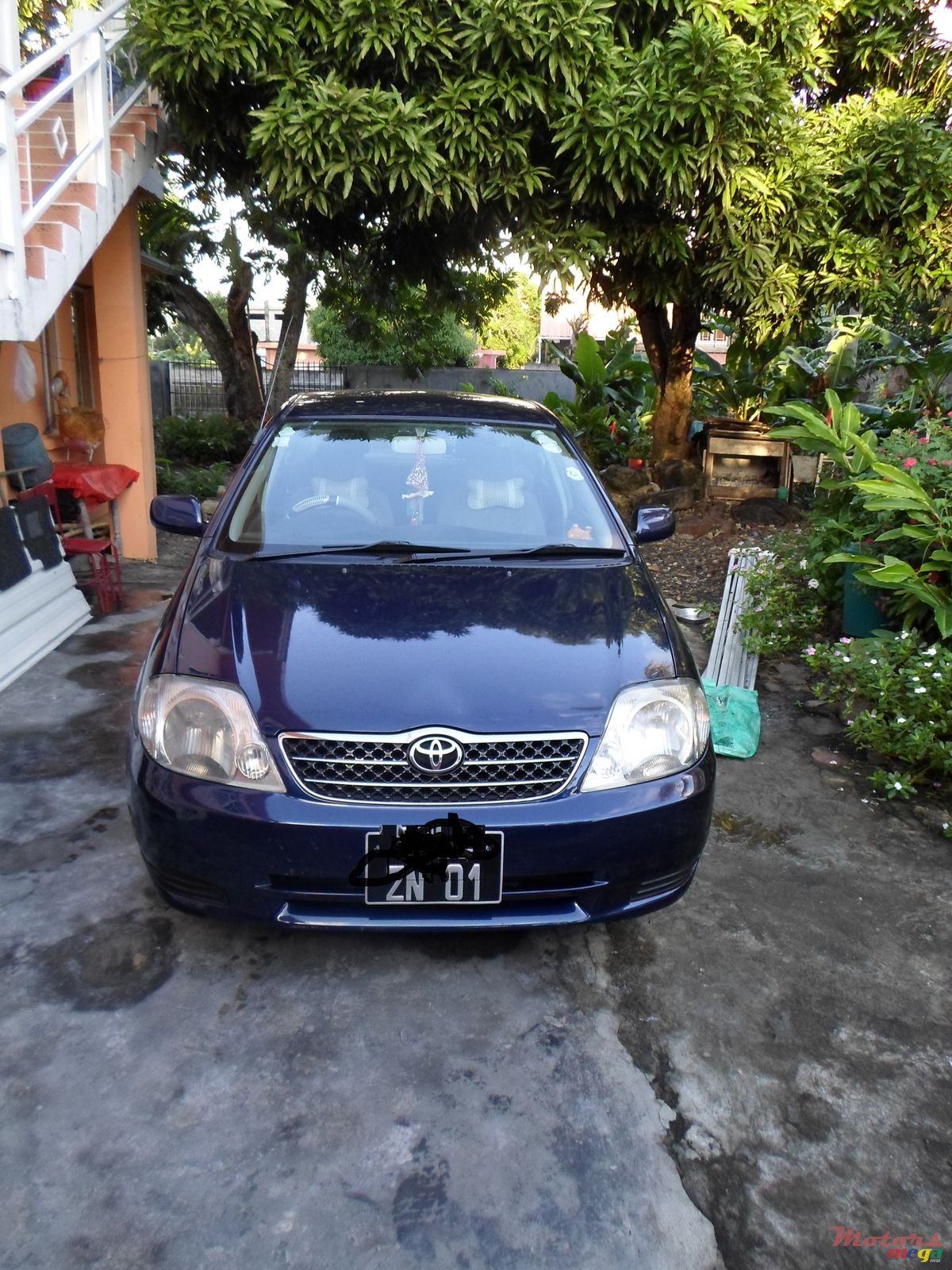 2001' Toyota Corolla photo #2