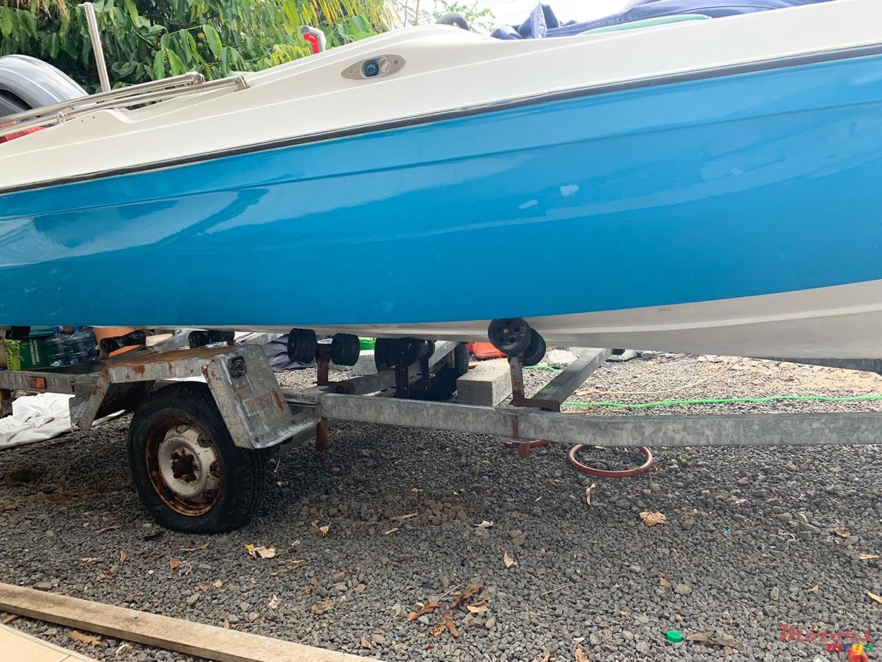 2017' Cobra photo #2