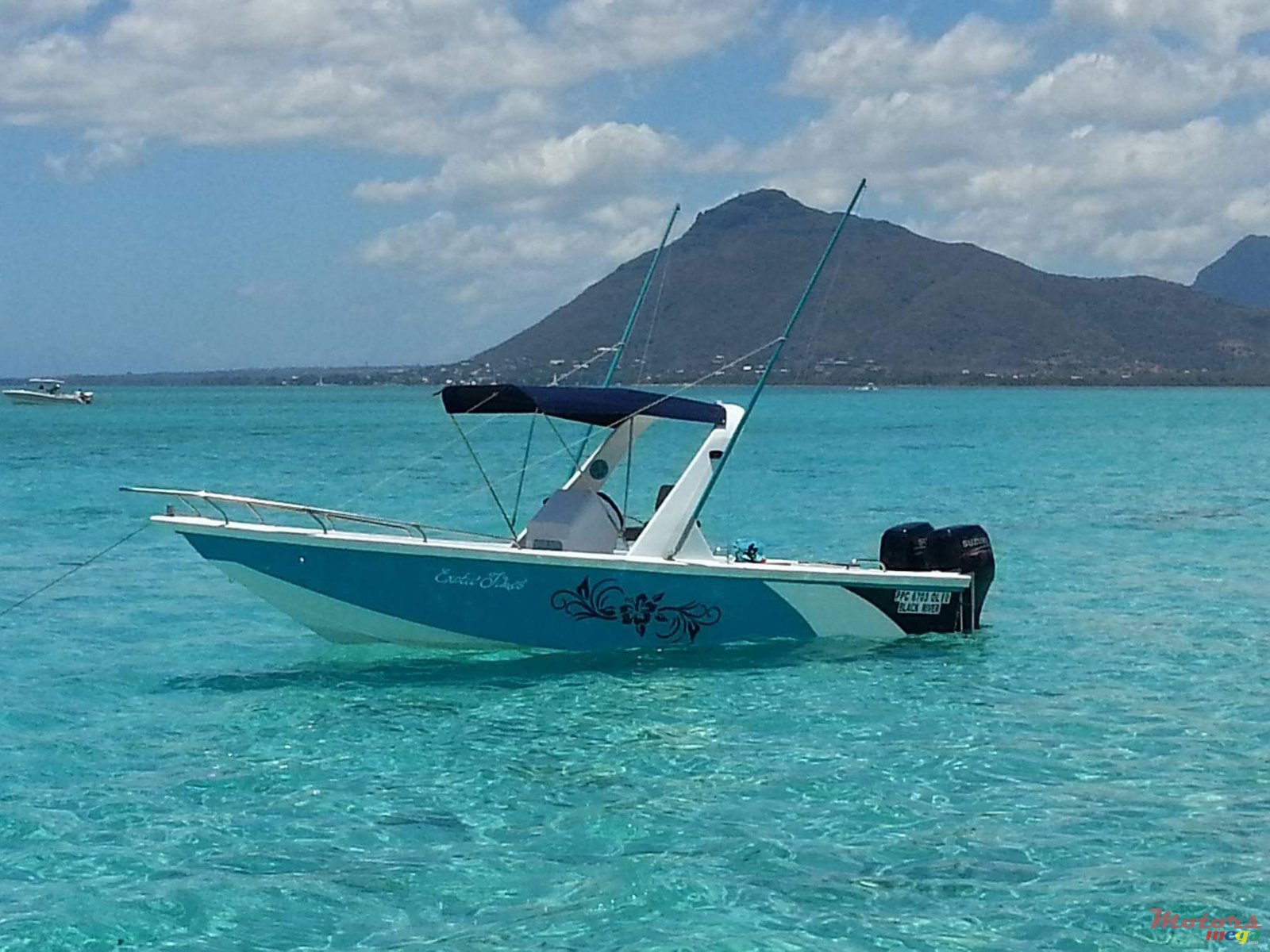 1994' Tremlett photo #1