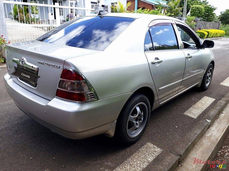 2002' Toyota Corolla NZE photo #3
