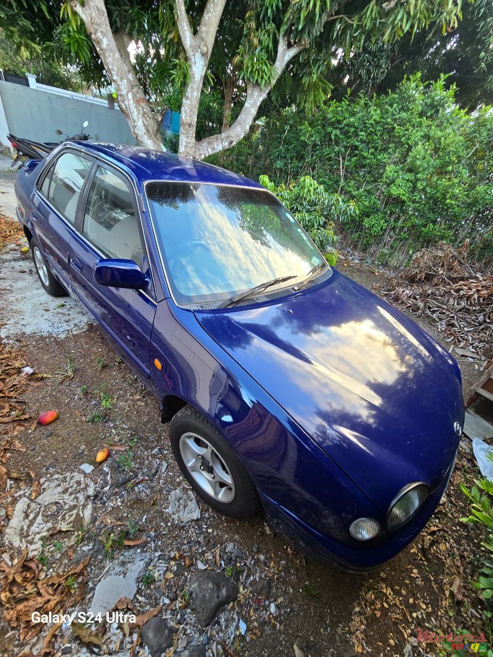1998' Toyota Corolla photo #1