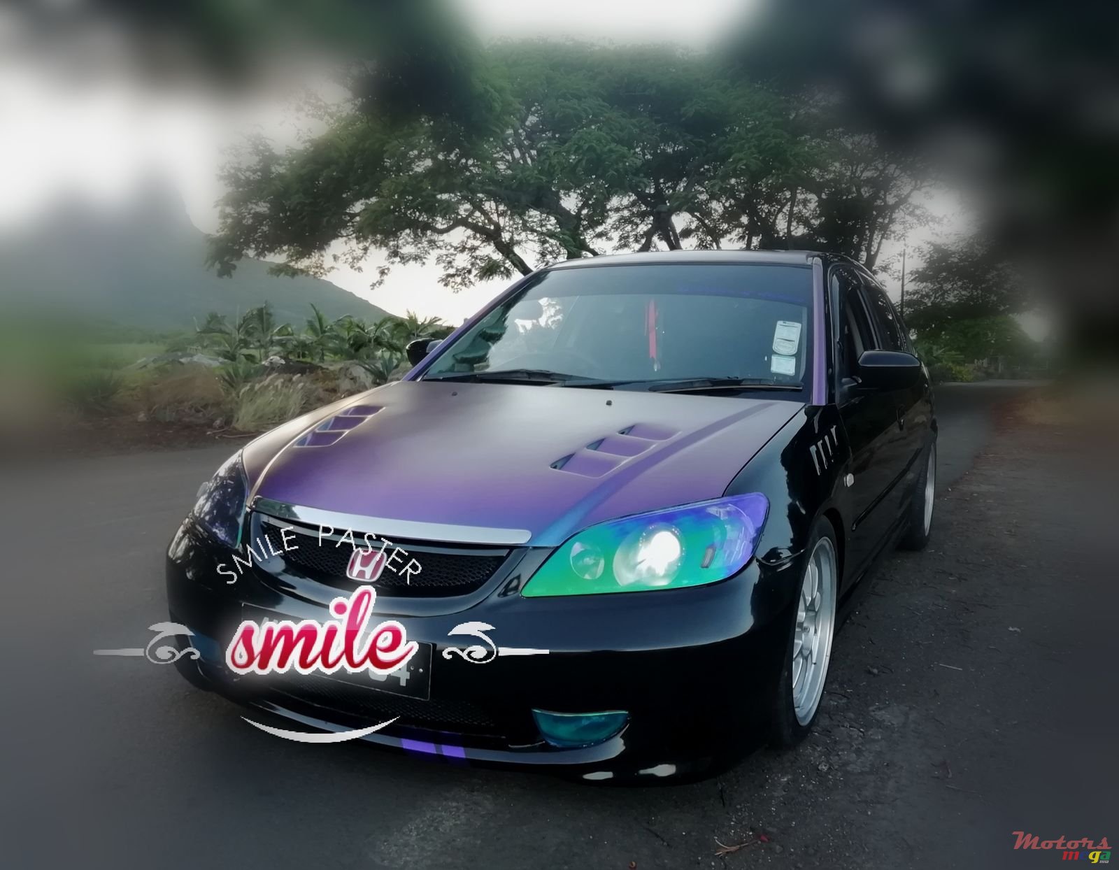 2004' Honda Civic photo #1