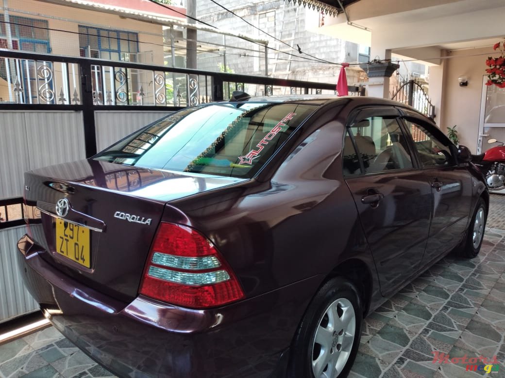 2004' Toyota Corolla NZE photo #6