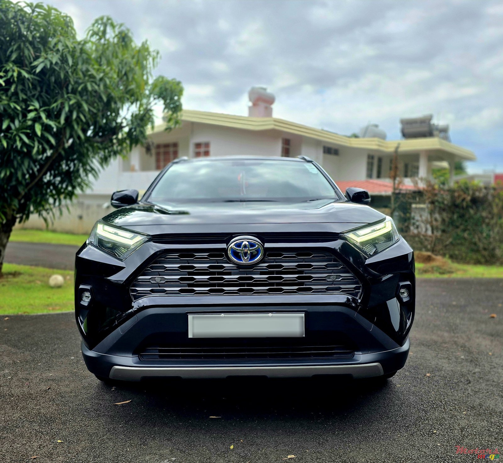 2024' Toyota RAV4 photo #1