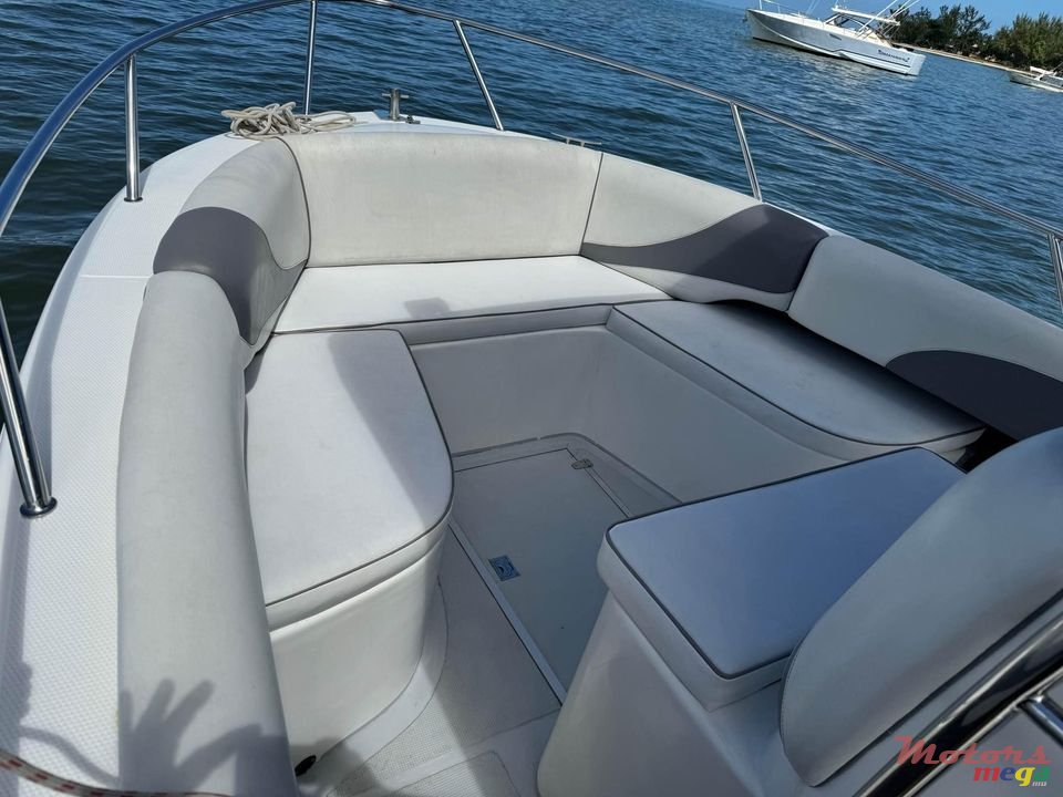 2024' Bluline photo #2