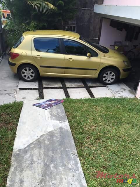 2004' Peugeot 307 photo #1