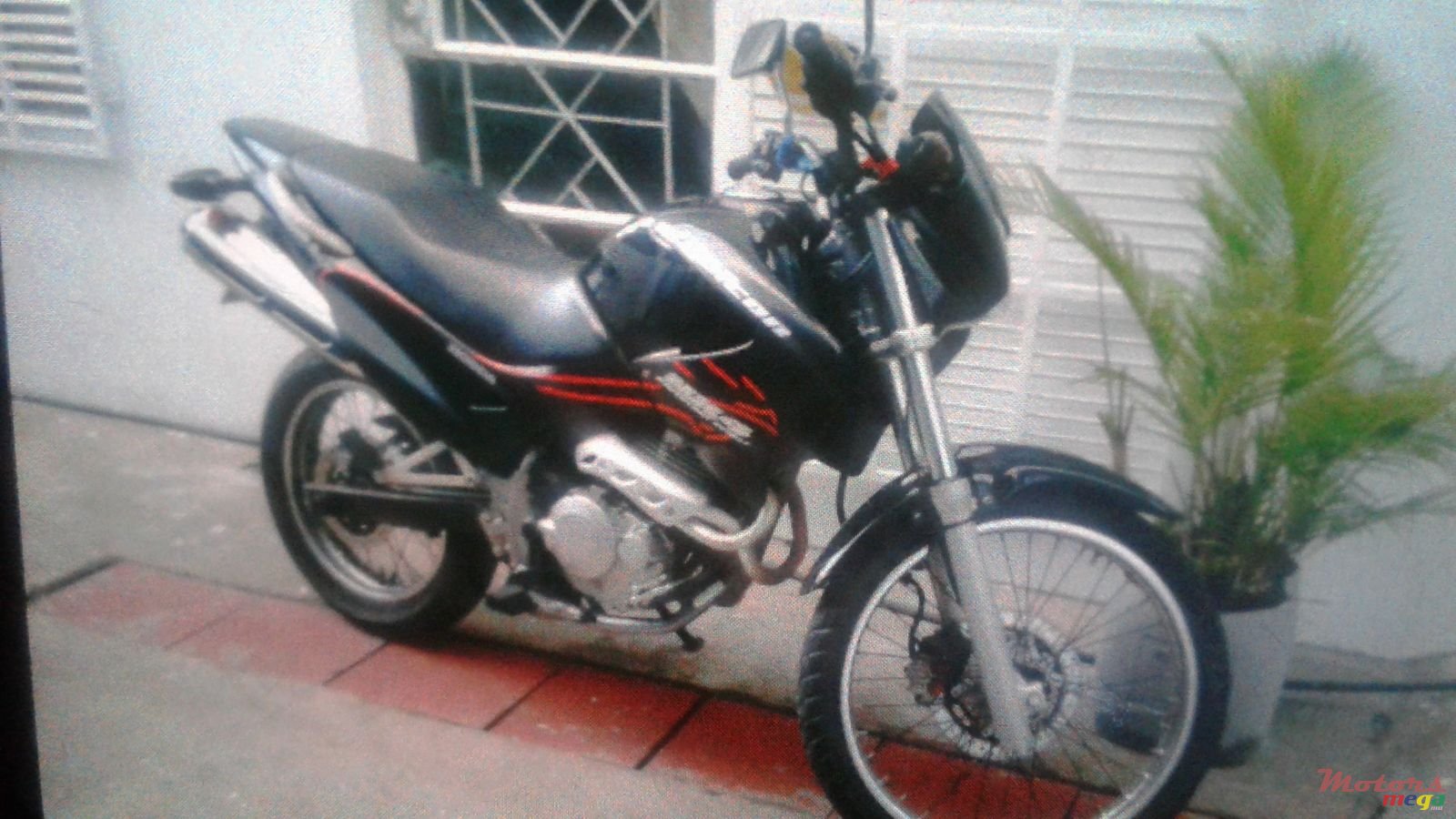 2007' Honda Falcon photo #3