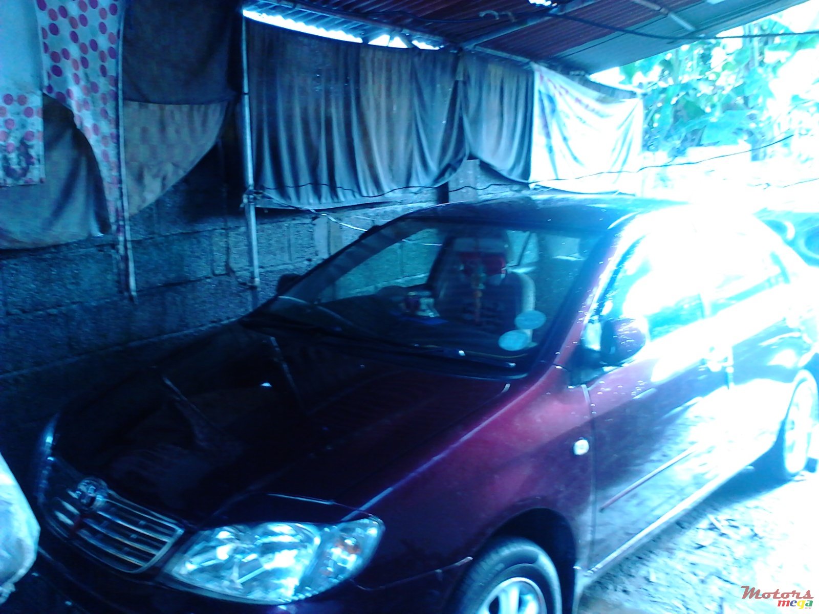 2003' Toyota Corolla 0 photo #3