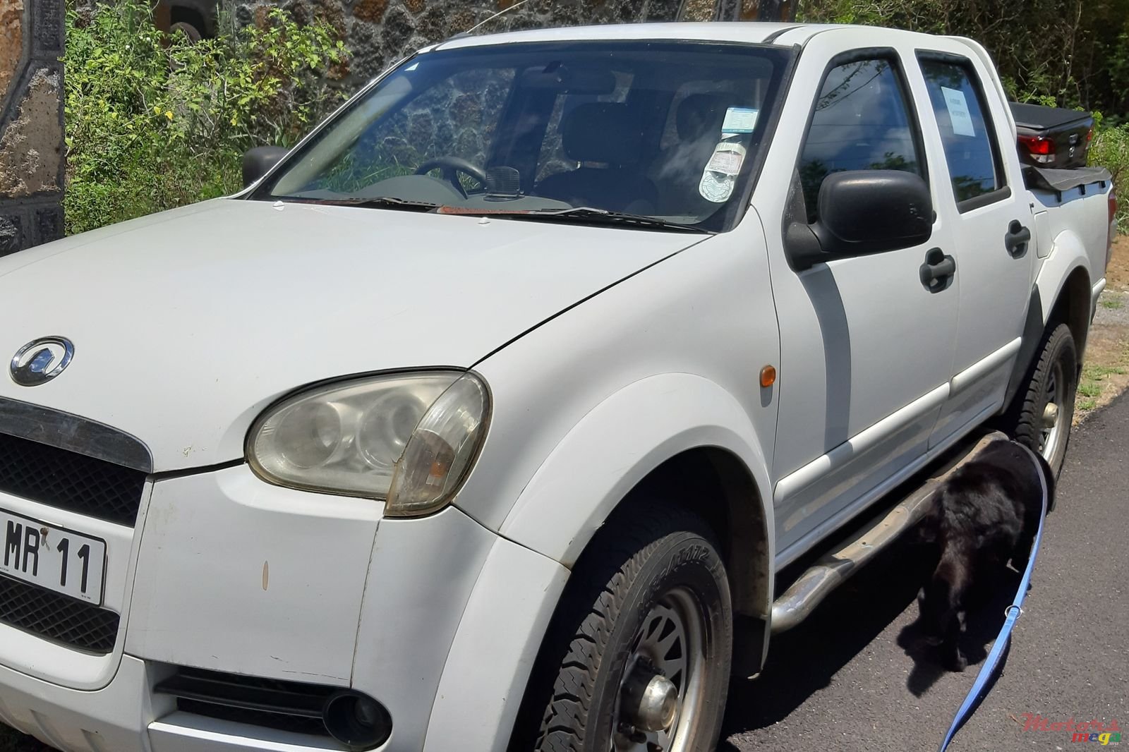 2011' GWM Steed photo #1