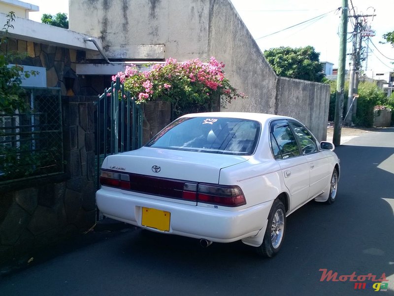 1993' Toyota Corolla photo #3