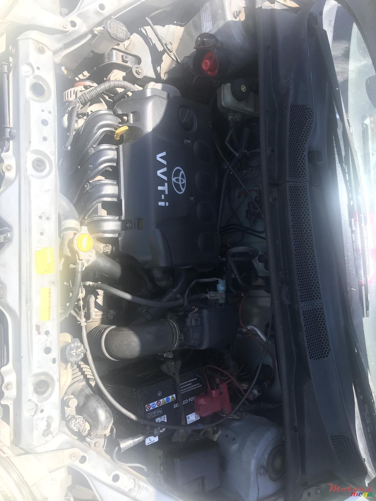 2001' Toyota Echo Platz photo #1