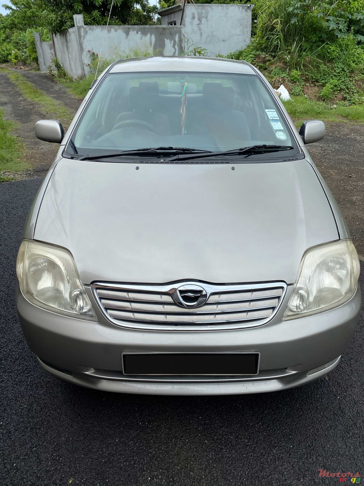 2001' Toyota Corolla photo #2