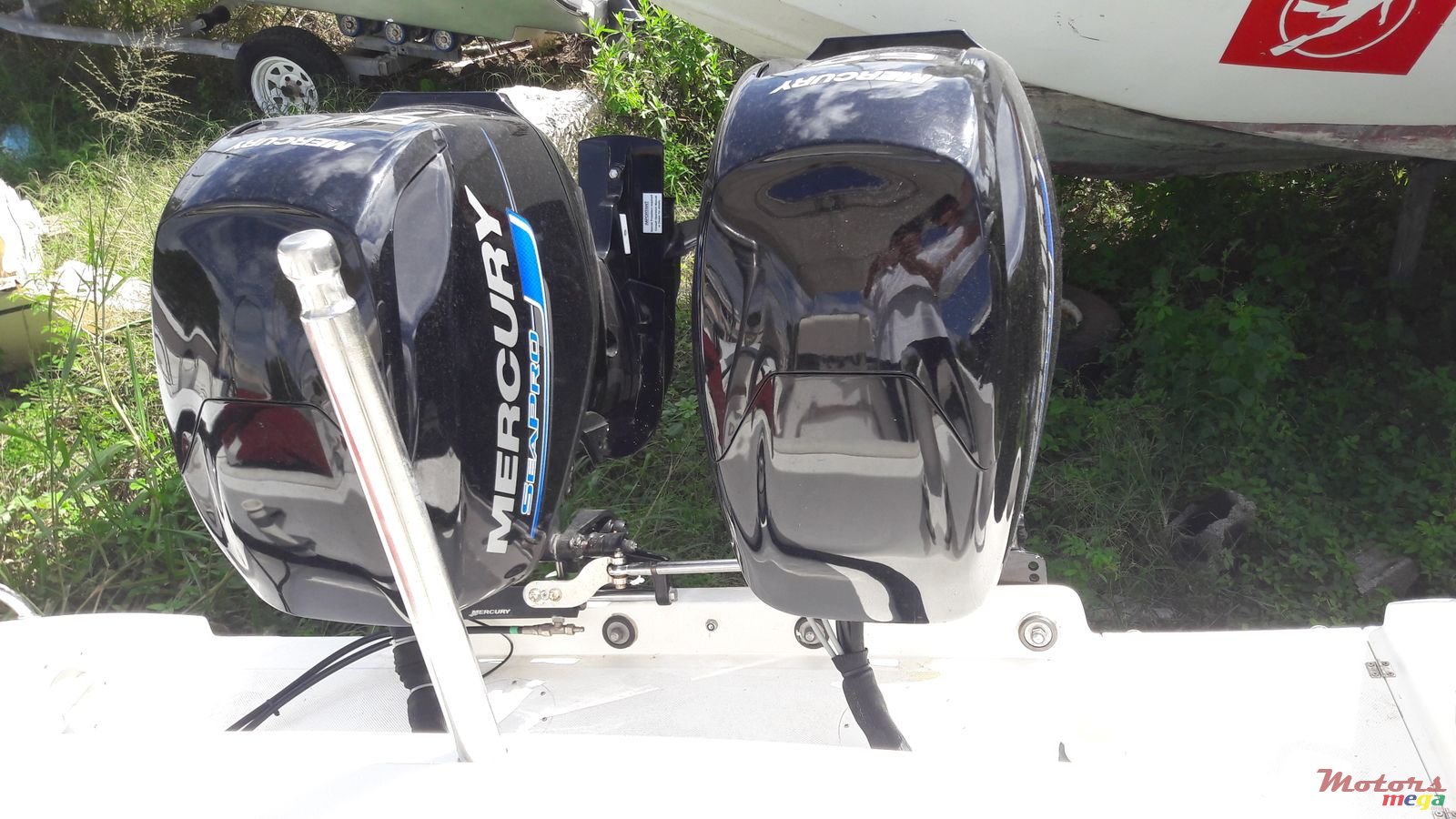 2016' Splendor photo #5