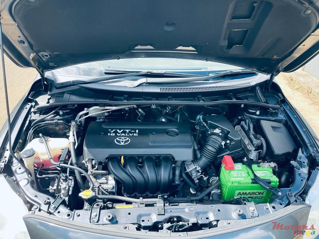 2009' Toyota Corolla photo #3