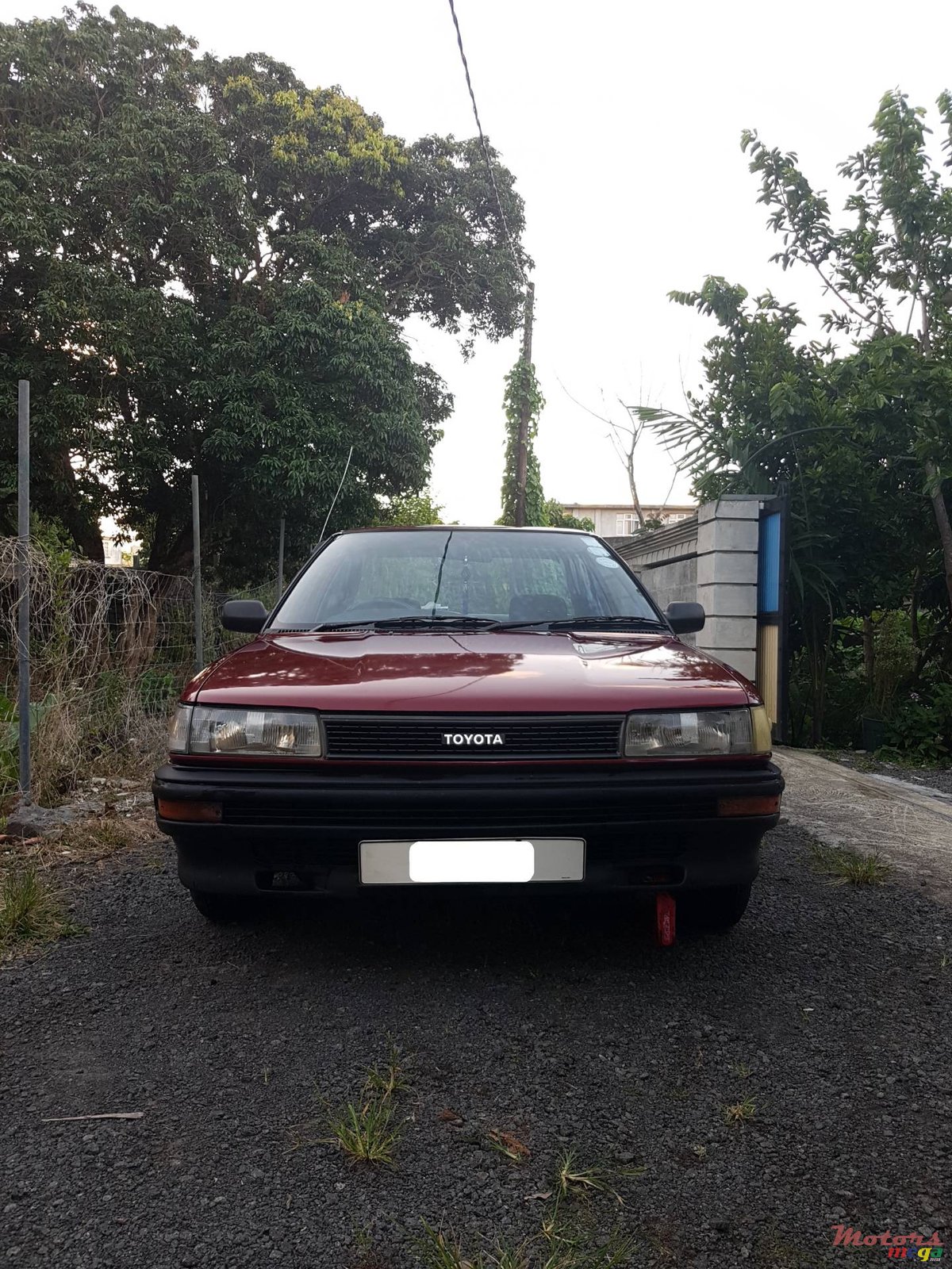 1990' Toyota Corolla photo #3