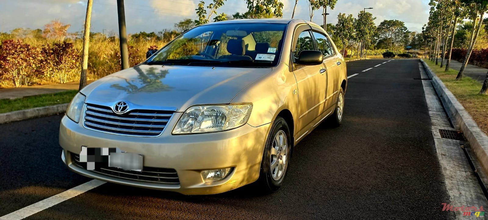 2007' Toyota photo #6