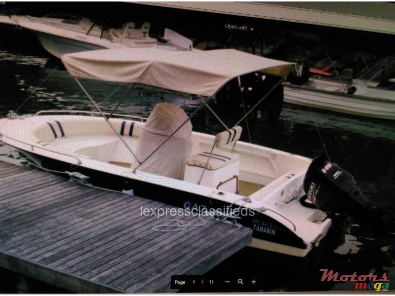 2009' SeaCraft photo #1