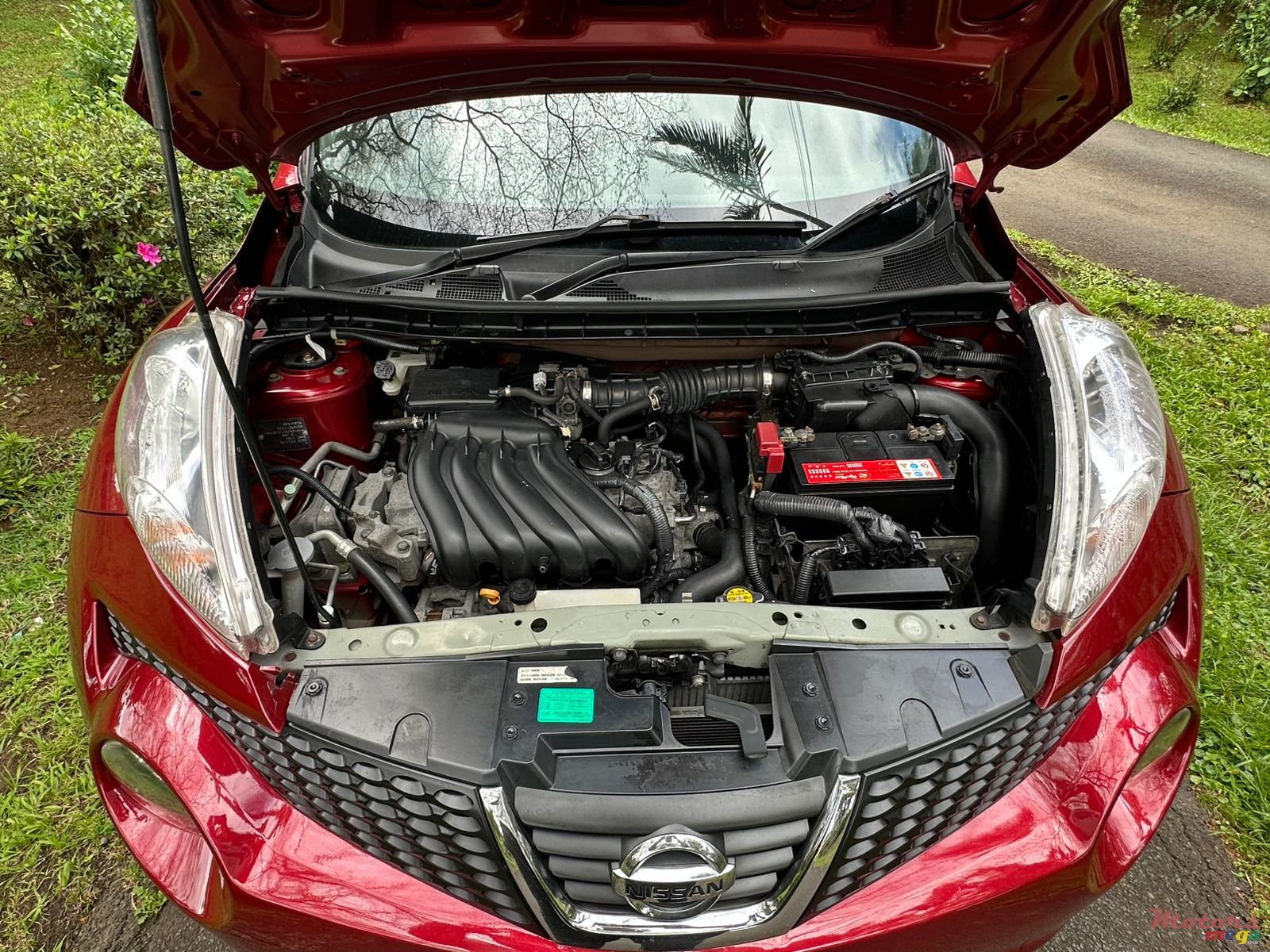 2012' Nissan Juke photo #5