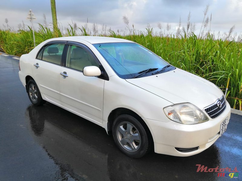 2002' Toyota Corolla Nze G edition photo #1