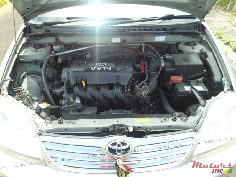 2003' Toyota photo #4