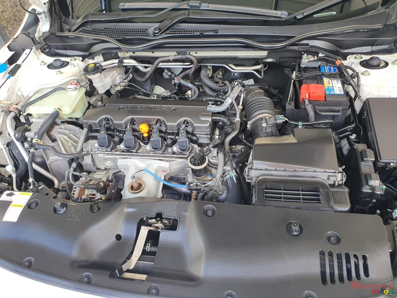 2020' Honda Civic photo #4