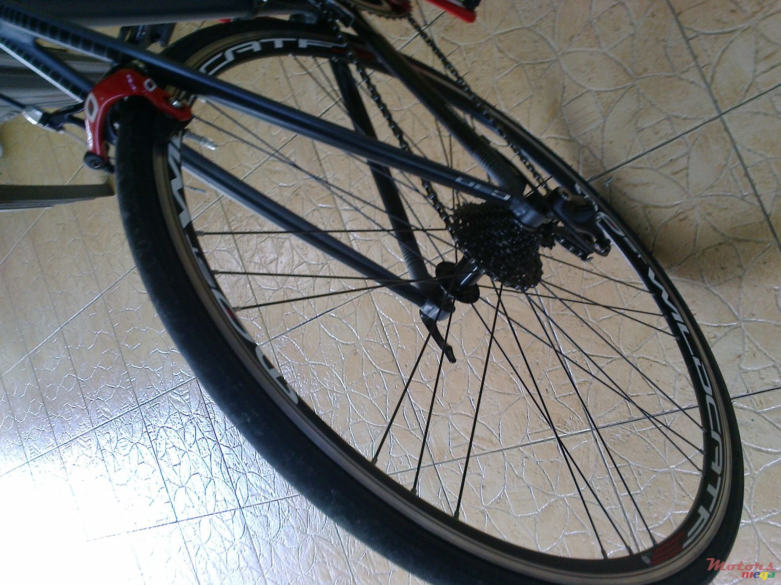 2014' Campagna photo #5